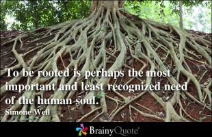 Rooted quote