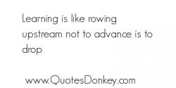 Rowing quote #1