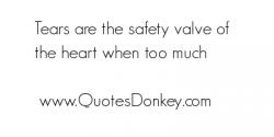 Safety Valve quote #2