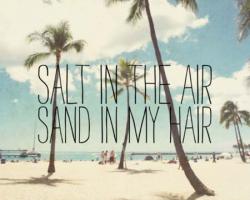 Salt quote #5