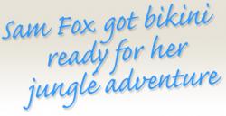 Samantha Fox's quote