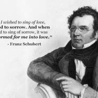 Schubert quote #1