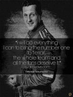Schumacher quote #1