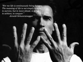 Schwarzenegger quote #2