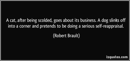 Scolded quote #1