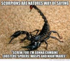 Scorpions quote #2