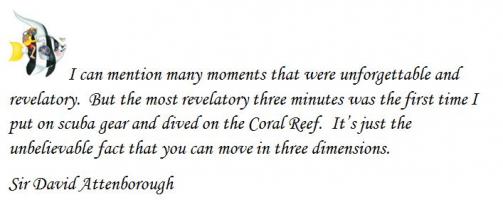 Scuba Dive quote #2