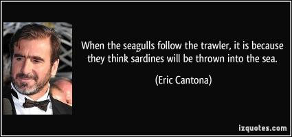 Seagulls quote #2