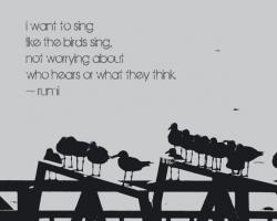 Seagulls quote #2