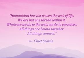 Seattle quote #1