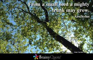 Seeds quote #2