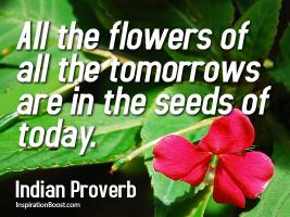 Seeds quote #2