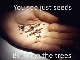 Seeds quote #2
