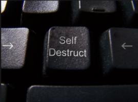 Self-Destructive quote #2