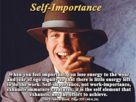 Self-Importance quote