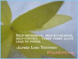 Self-Knowledge quote #2