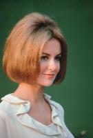 Shelley Fabares's quote #3