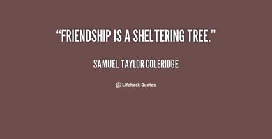 Sheltering quote #1