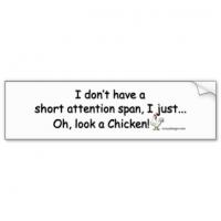 Short Attention Span quote