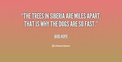 Siberia quote #2