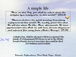 Simple Life quote #2