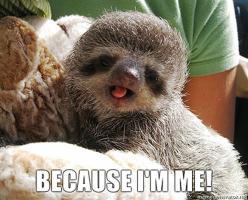 Sloth quote #2