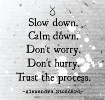 Slow Process quote #2