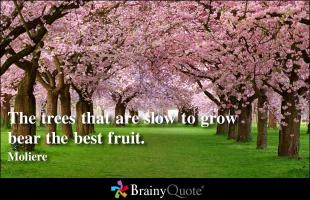 Slowness quote #1