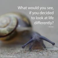 Snail quote #1