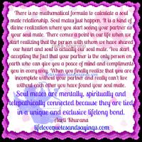 Soul Mate quote #2