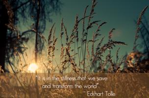 Stillness quote #2