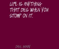 Stomp quote #1