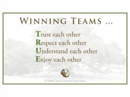 Strong Team quote #2