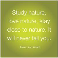 Study Nature quote #2
