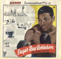 Sugar Ray Robinson's quote #2