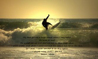 Surfing quote #6