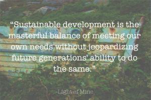 Sustainable Development quote #2