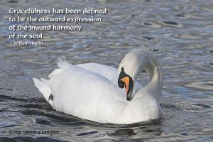 Swan quote #2