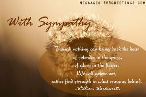 Sympathies quote #1