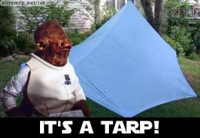 Tarp quote #2