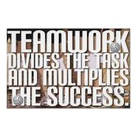 Teamwork quote #3