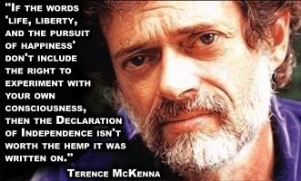 Terence McKenna's quote