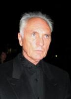 Terence Stamp's quote
