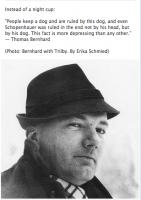 Thomas Bernhard's quote #1