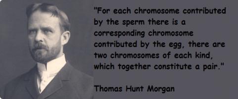 Thomas Hunt Morgan's quote #1