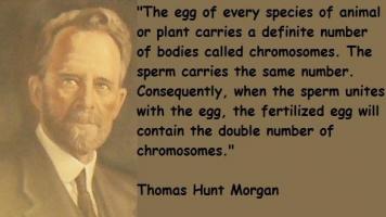 Thomas Hunt Morgan's quote #1