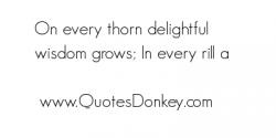 Thorn quote #1