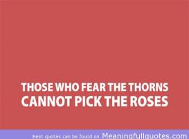 Thorns quote #2