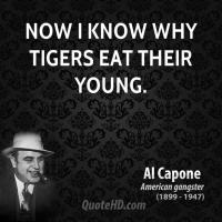Tigers quote #1
