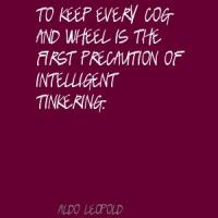 Tinkering quote #2